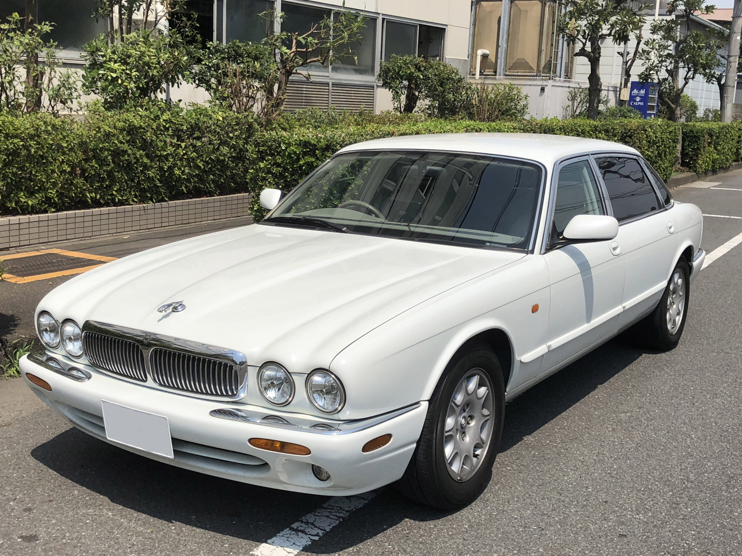 楽しんだ車を高く売る